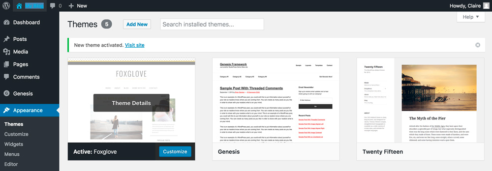 How-To-Install-A-Wordpress-Theme-7